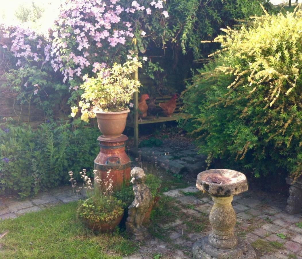 Five Saints Farmhouse B&B Pumpsaint Екстер'єр фото